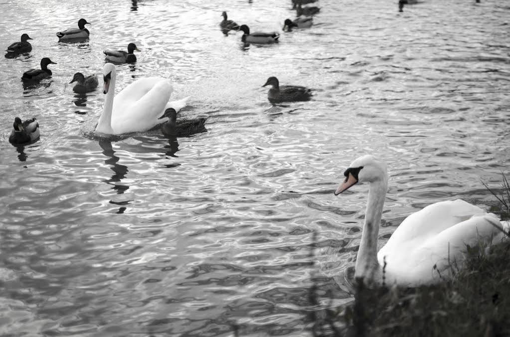 New Inn Hotel Lechlade Esterno foto